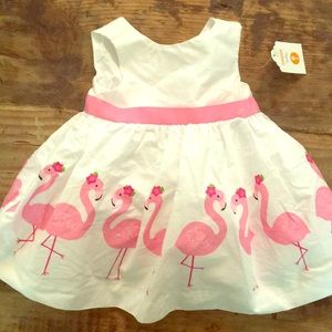 Baby girl dress 3-6months. Tags still on!